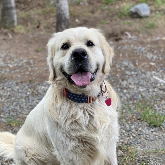 Hi I'm April - Picture 2 of 4